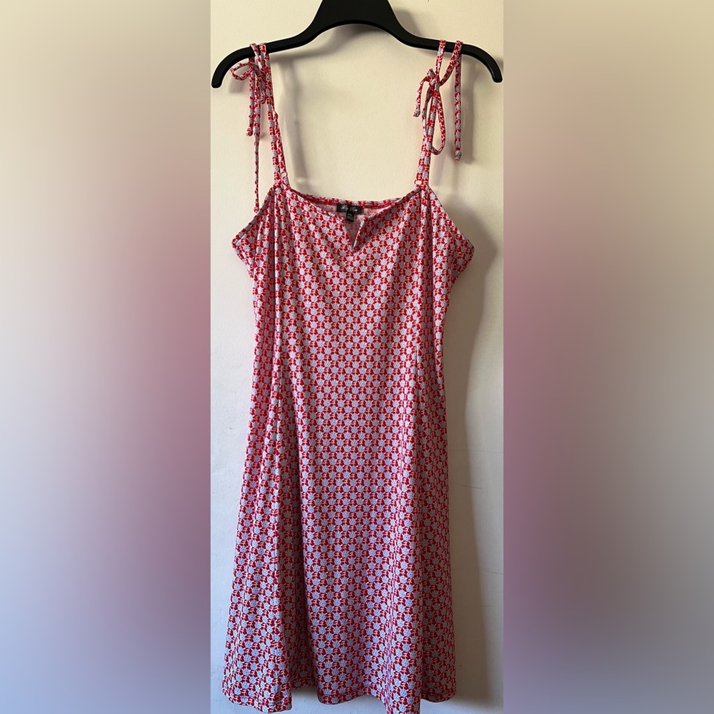 Beautiful floral red Lily Rose dress.